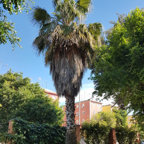 Galeria-blanca-paloma5