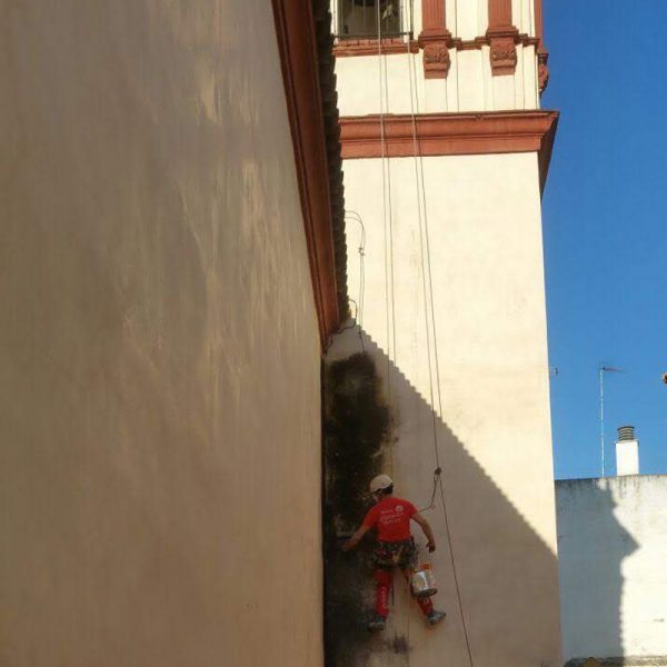 san roman 5